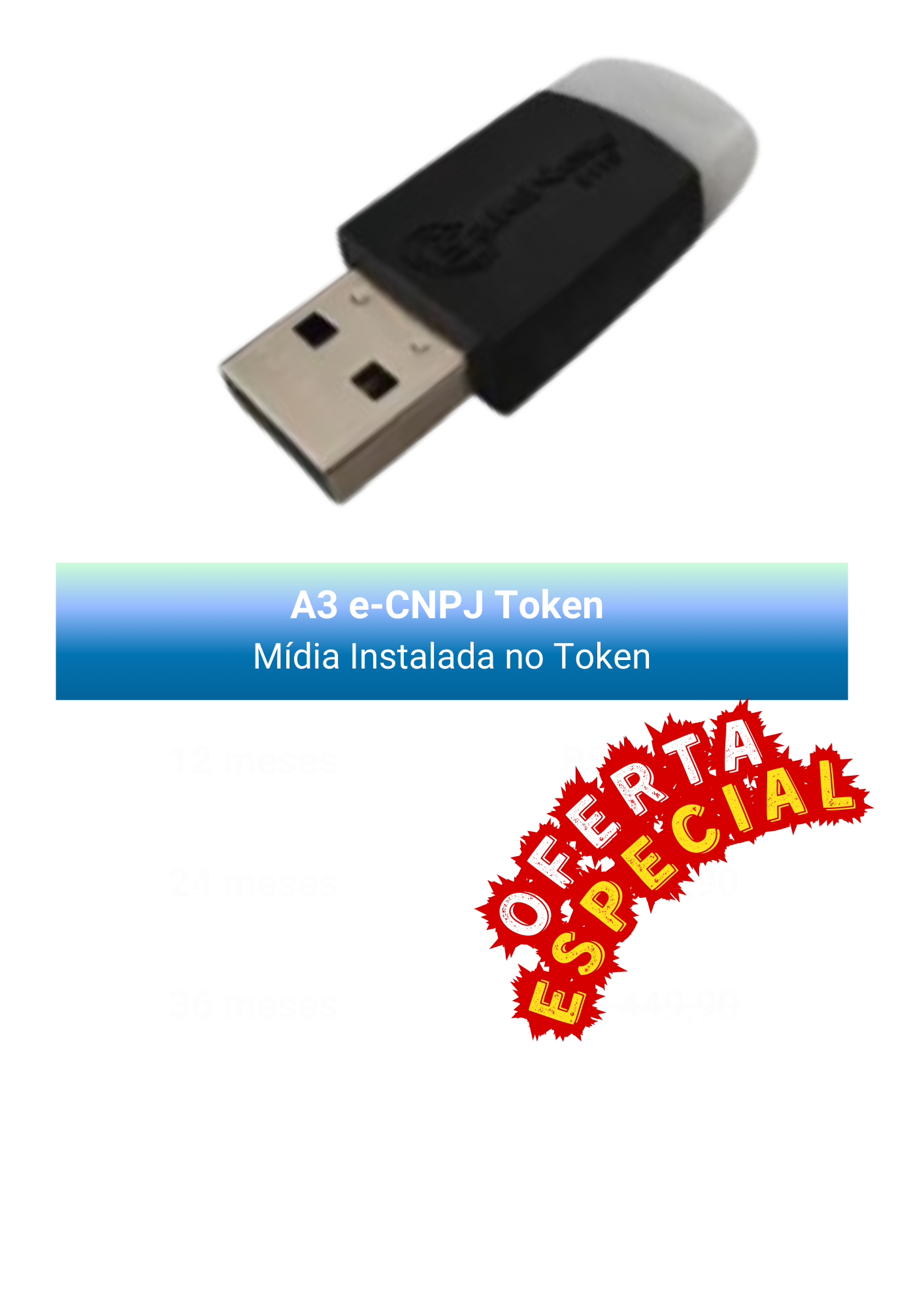 Token A3 e-CNPJ
